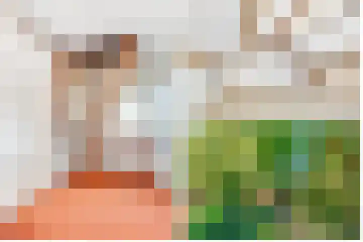 Pleineslaan 45 Den Dolder thumbnail 21