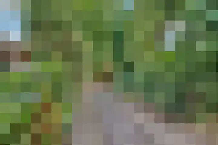 Pleineslaan 45 Den Dolder thumbnail 22