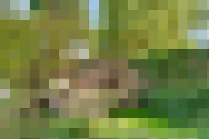 Pleineslaan 45 Den Dolder thumbnail 24