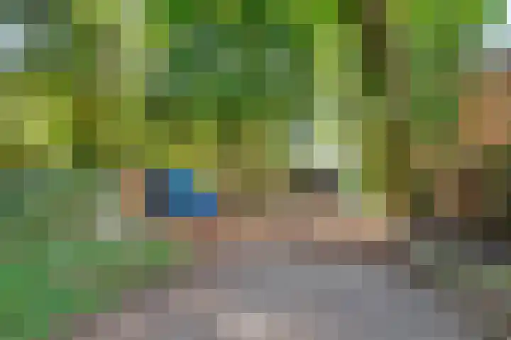 Pleineslaan 45 Den Dolder thumbnail 25