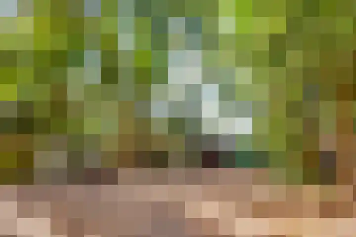 Pleineslaan 45 Den Dolder thumbnail 26