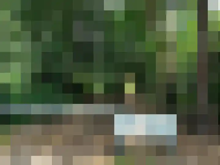 Pleineslaan 45 Den Dolder thumbnail 29
