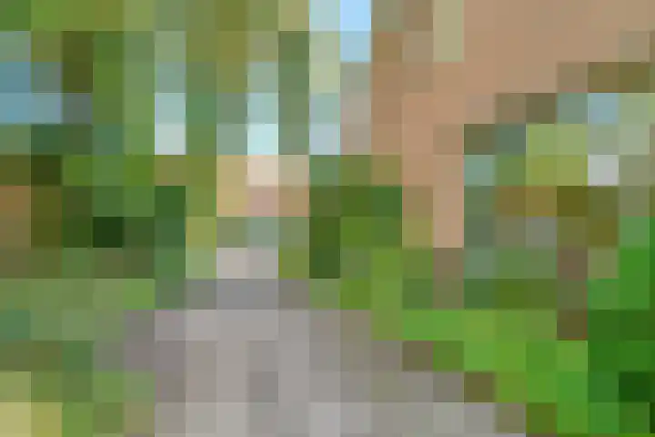 Pleineslaan 45 Den Dolder thumbnail 4