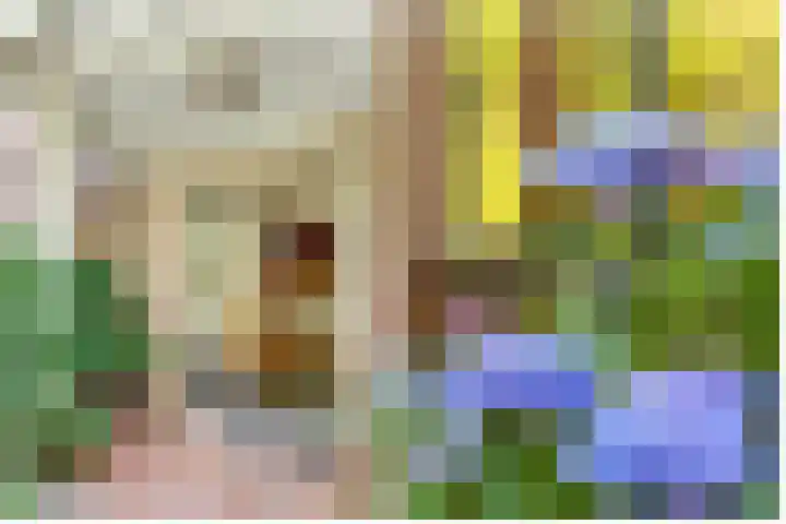 Pleineslaan 45 Den Dolder thumbnail 5
