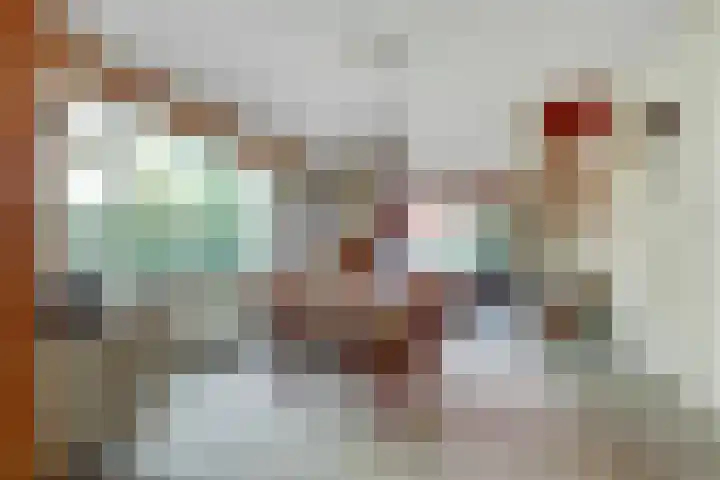 Pleineslaan 45 Den Dolder thumbnail 7