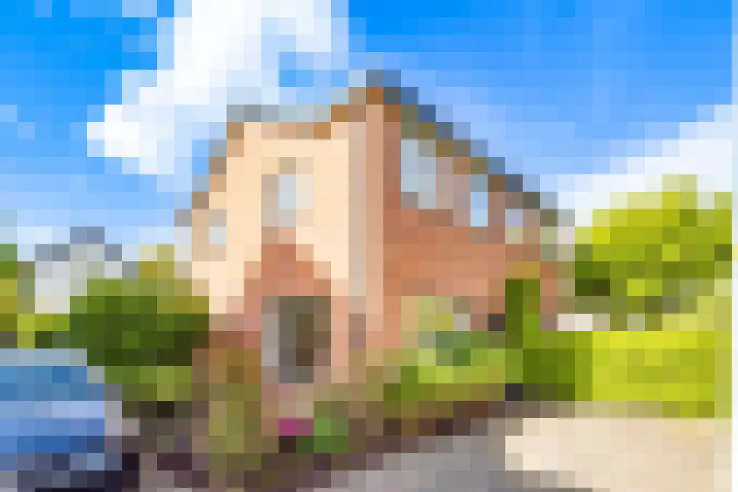 Pleineslaan 5 Den Dolder