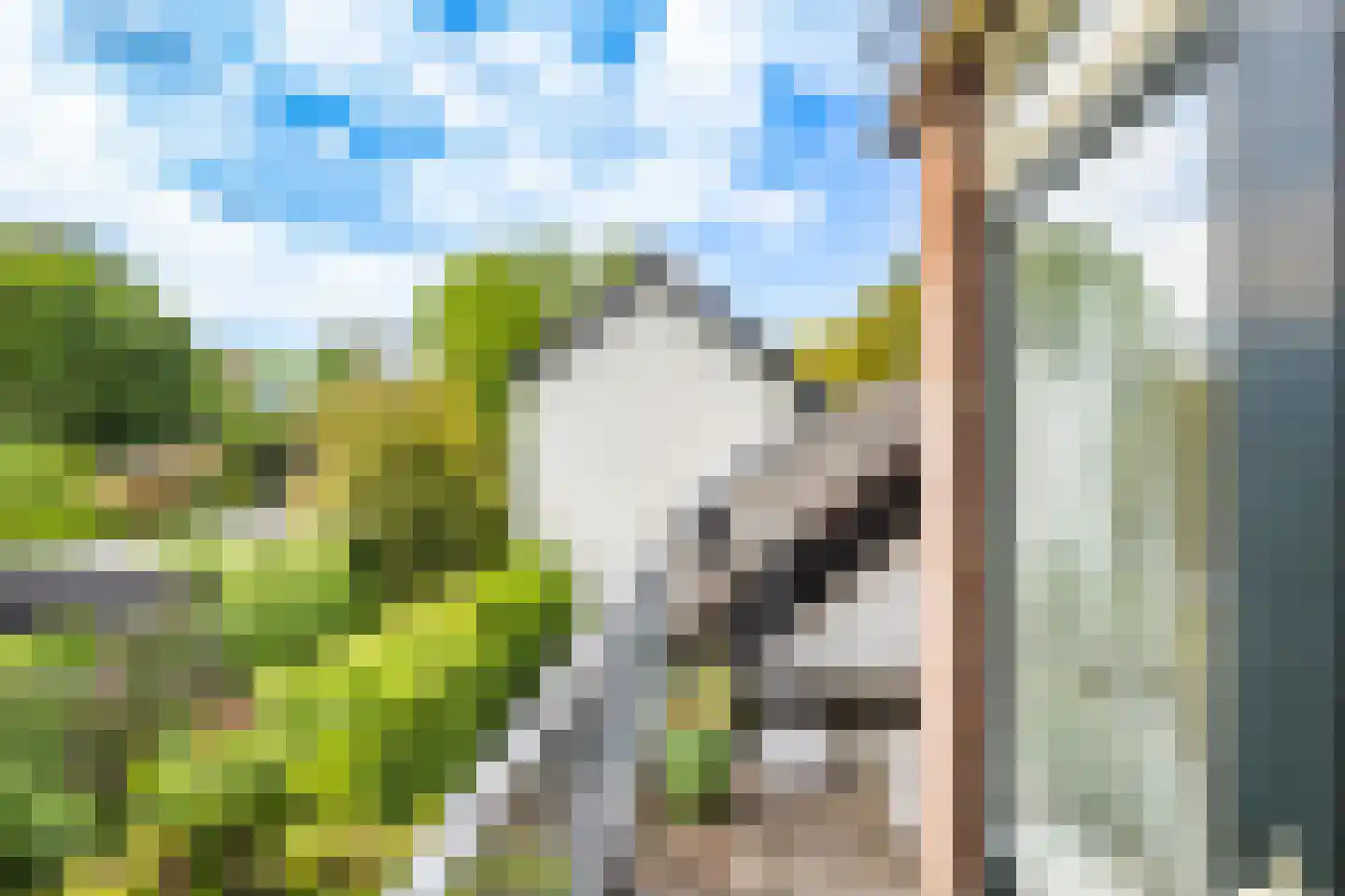Pleineslaan 5 Den Dolder thumbnail 34