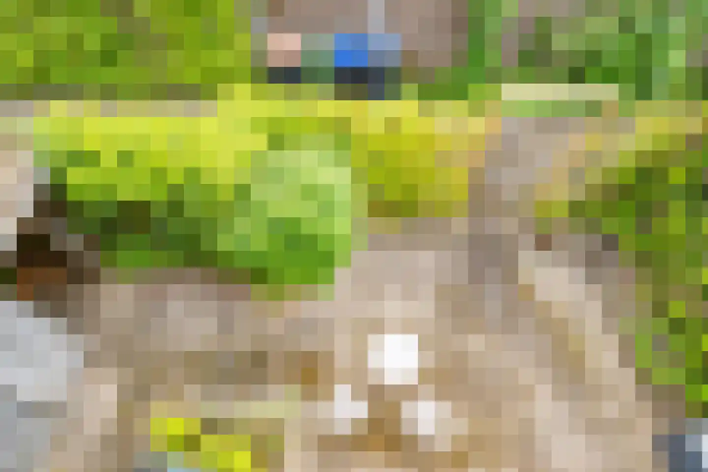 Pleineslaan 5 Den Dolder thumbnail 35