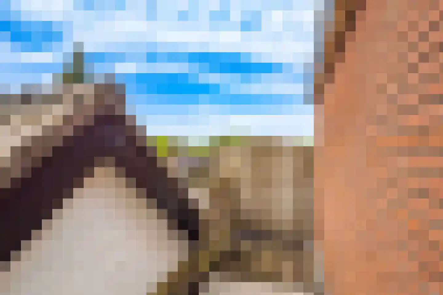 Pleineslaan 5 Den Dolder thumbnail 36