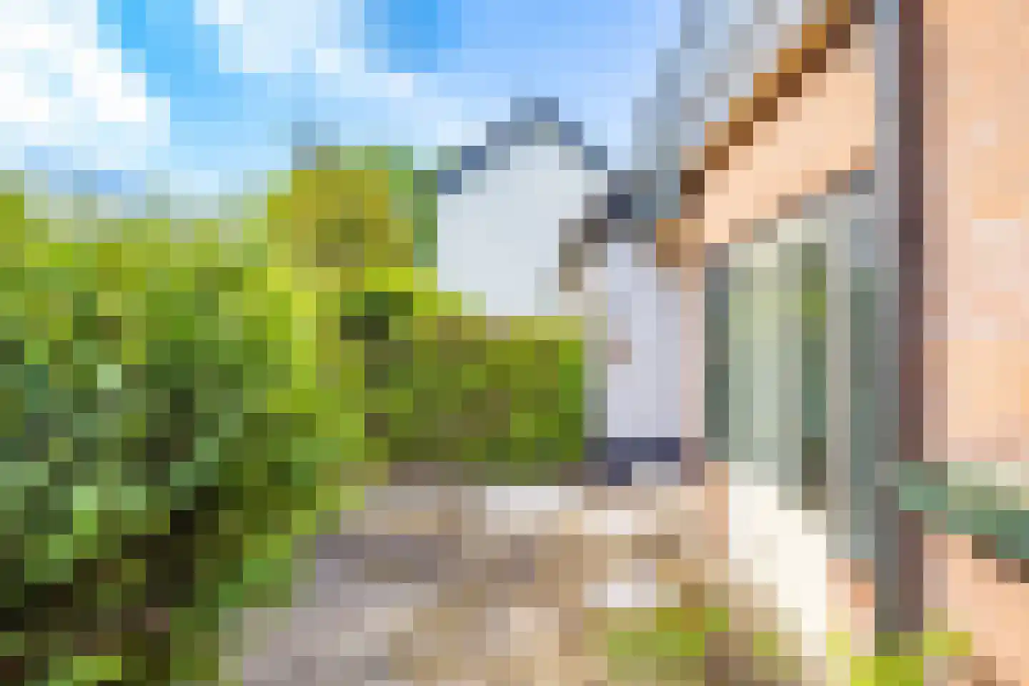 Pleineslaan 5 Den Dolder thumbnail 42