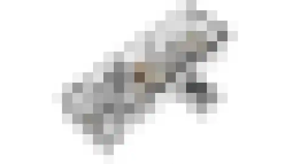 Pleineslaan 5 Den Dolder thumbnail 50