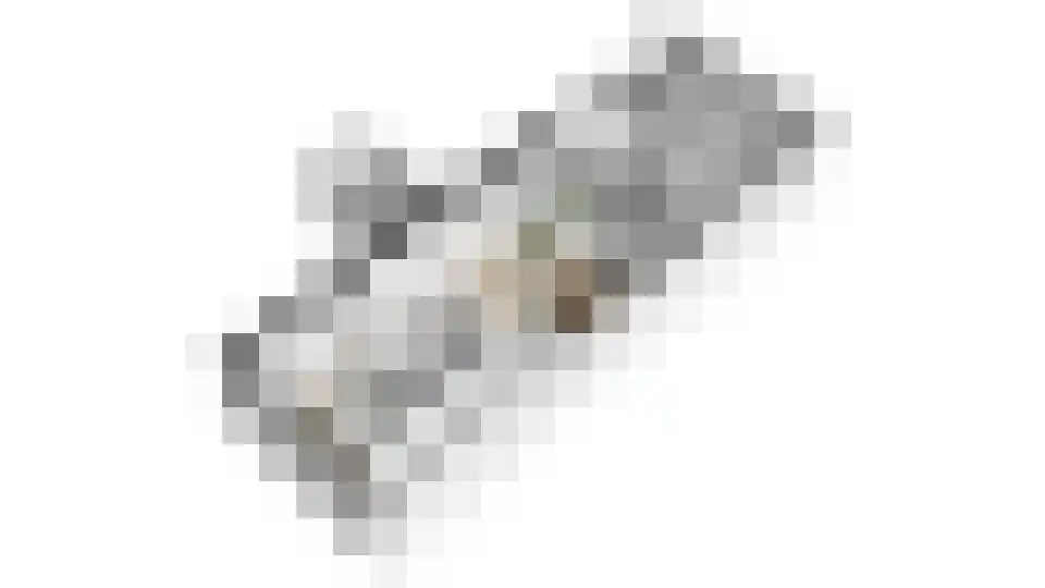 Pleineslaan 5 Den Dolder thumbnail 51