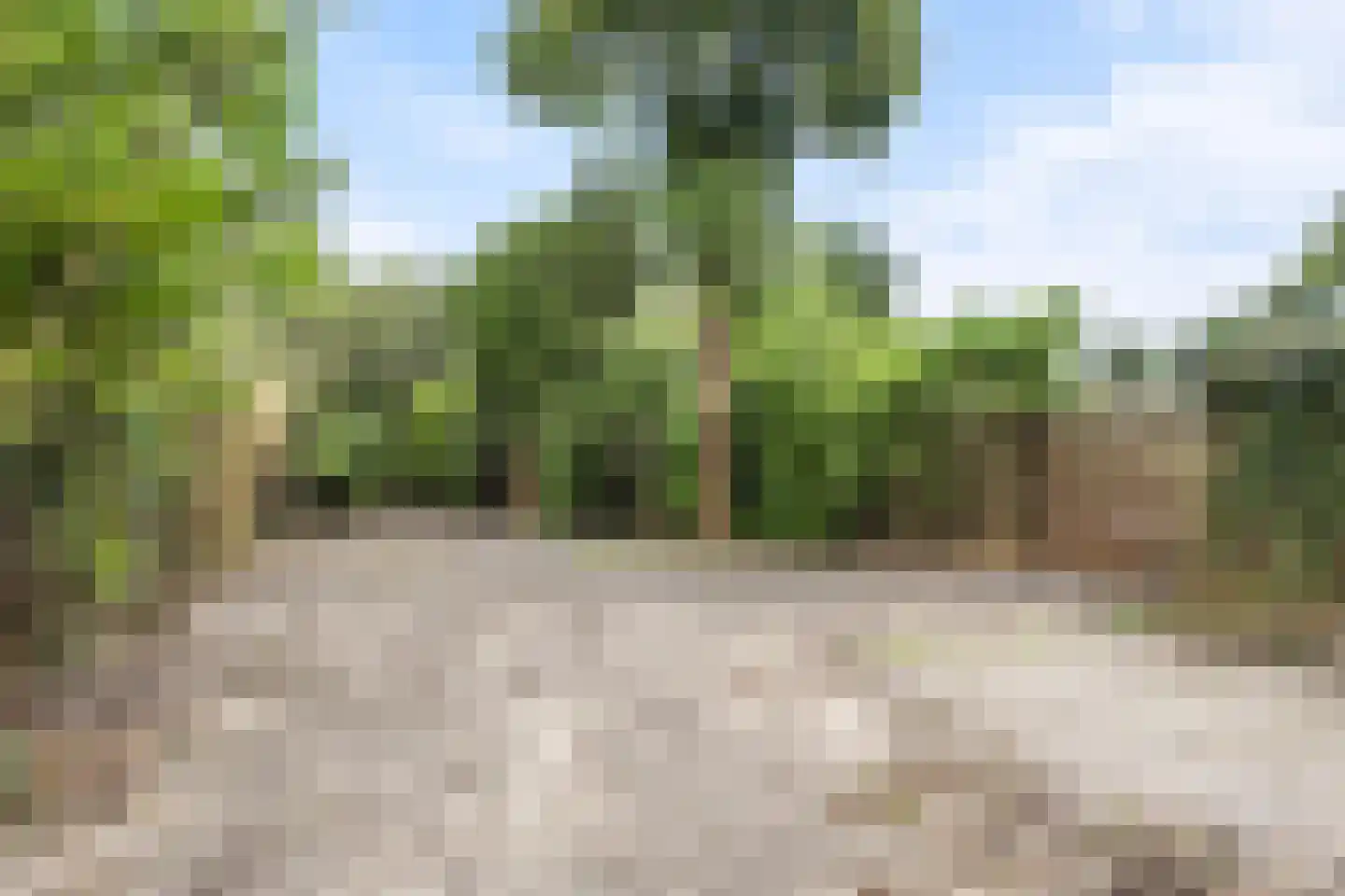 Pleineslaan 58 Den Dolder thumbnail 13