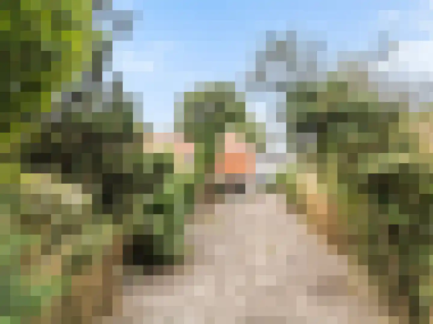 Pleineslaan 58 Den Dolder thumbnail 14