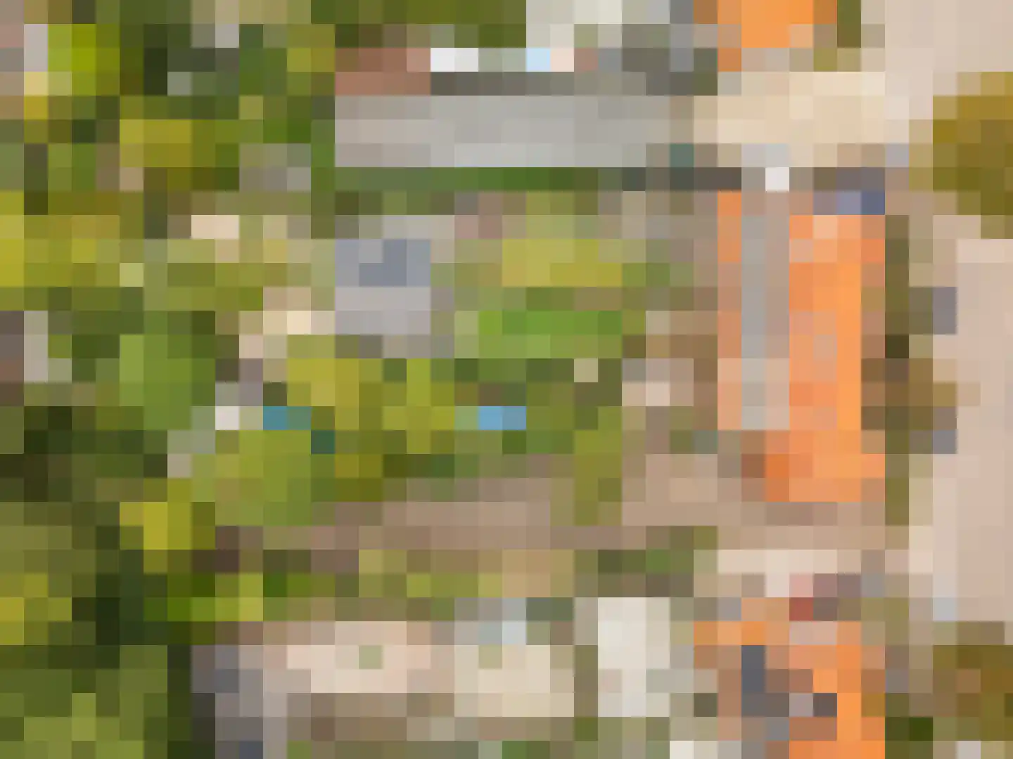 Pleineslaan 58 Den Dolder thumbnail 16