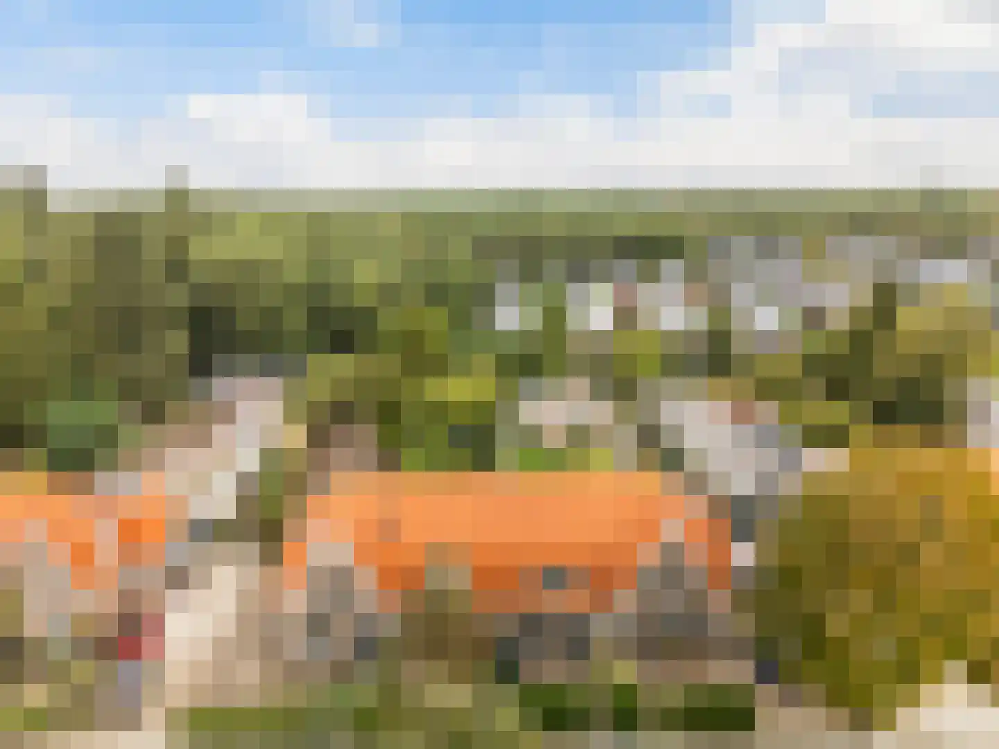 Pleineslaan 58 Den Dolder thumbnail 24