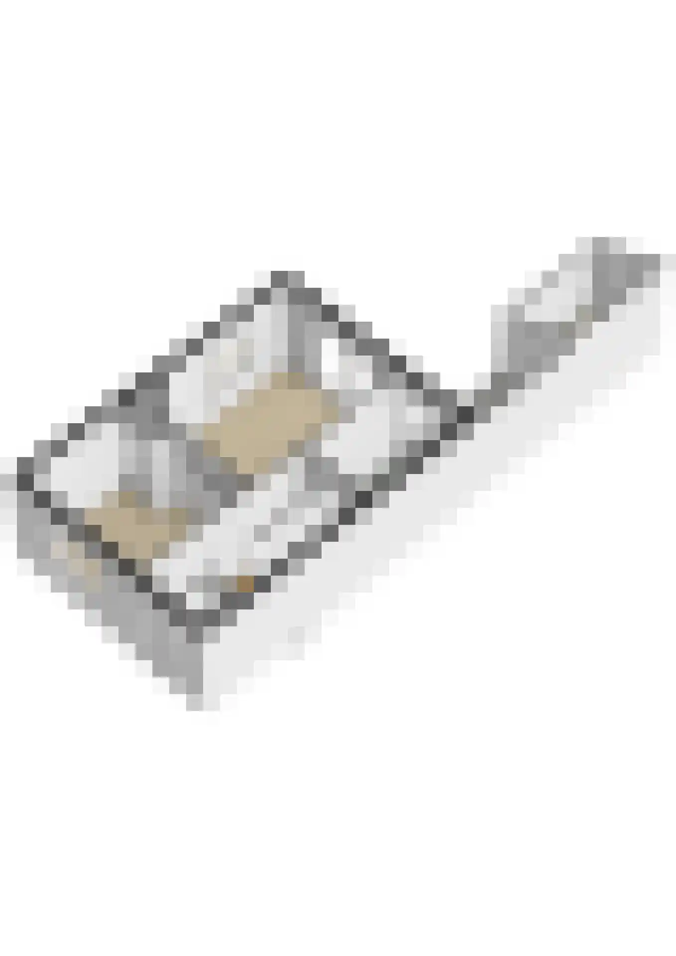Pleineslaan 58 Den Dolder thumbnail 30