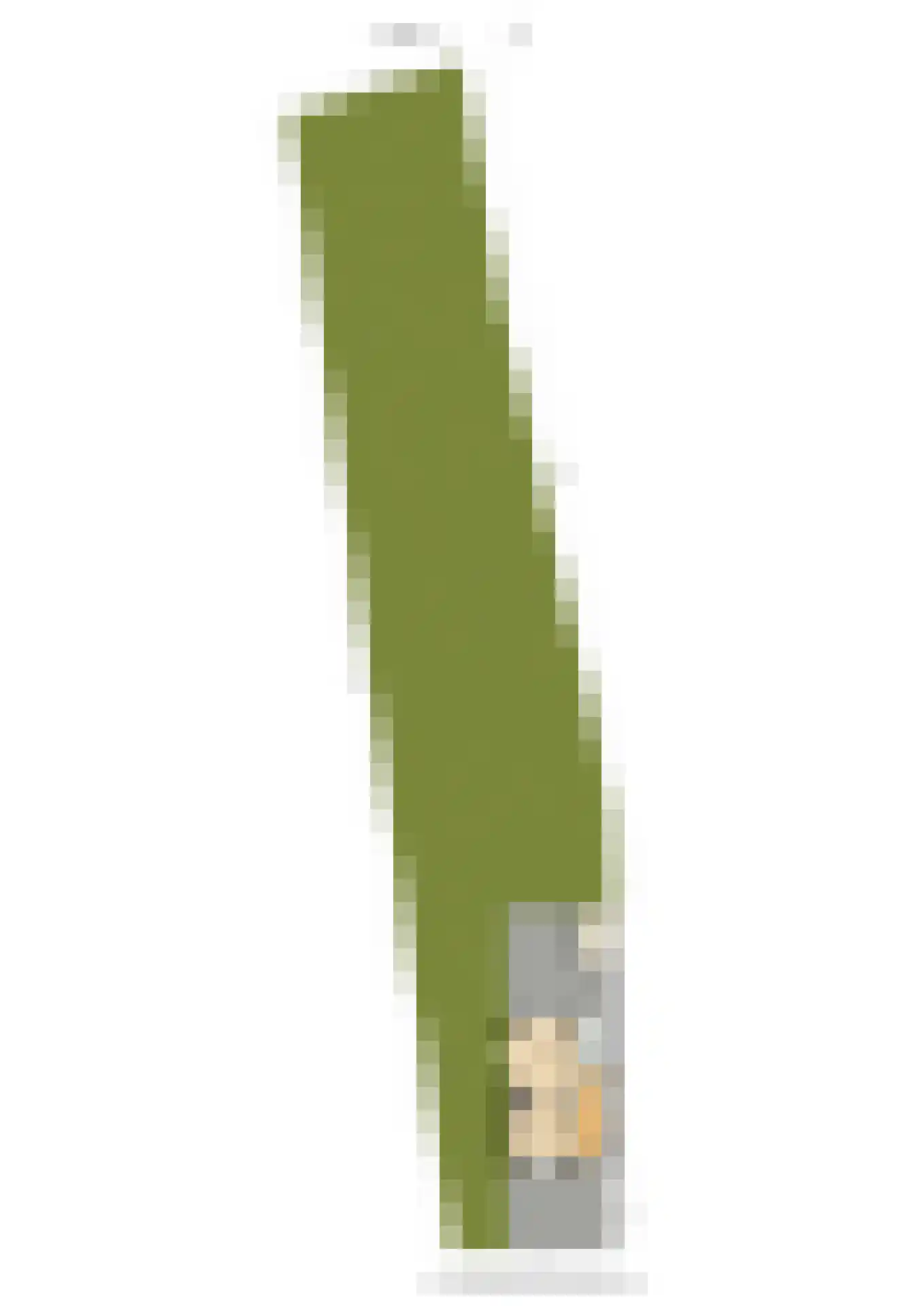 Pleineslaan 58 Den Dolder thumbnail 37