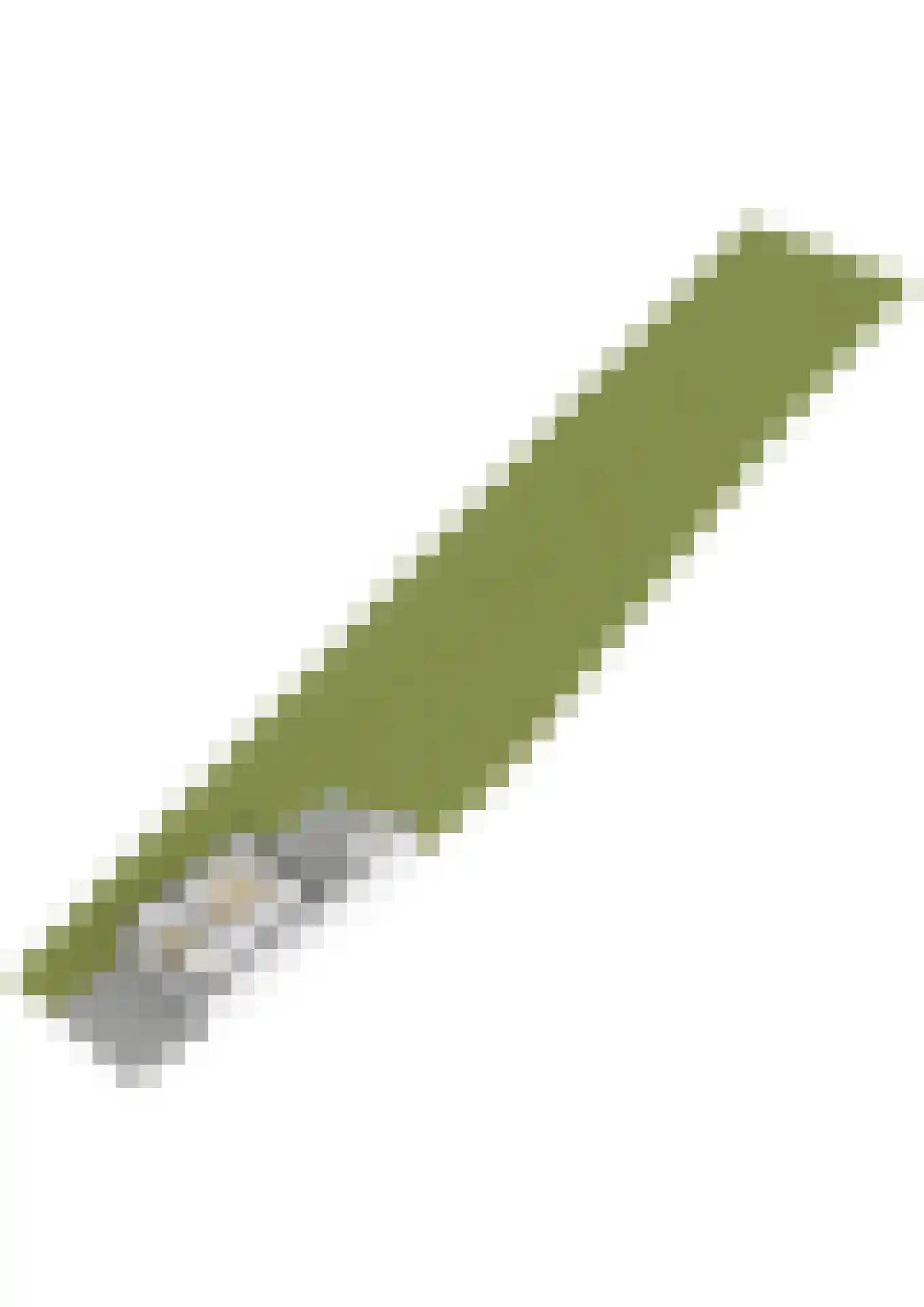 Pleineslaan 58 Den Dolder thumbnail 38