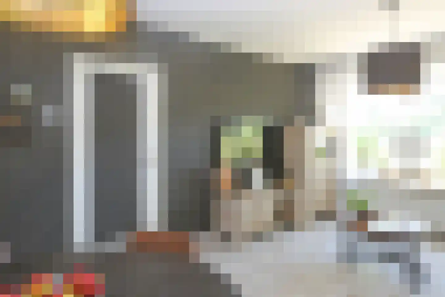 Pleinpaed 3 Twijzelerheide thumbnail 11