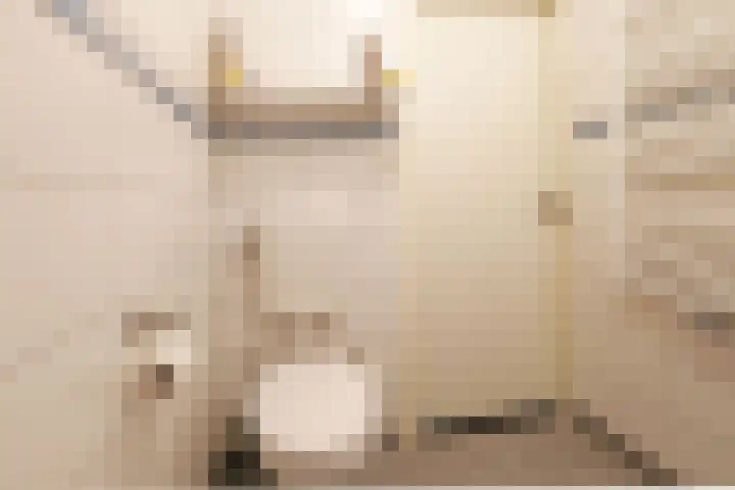 Pleinpaed 3 Twijzelerheide thumbnail 15