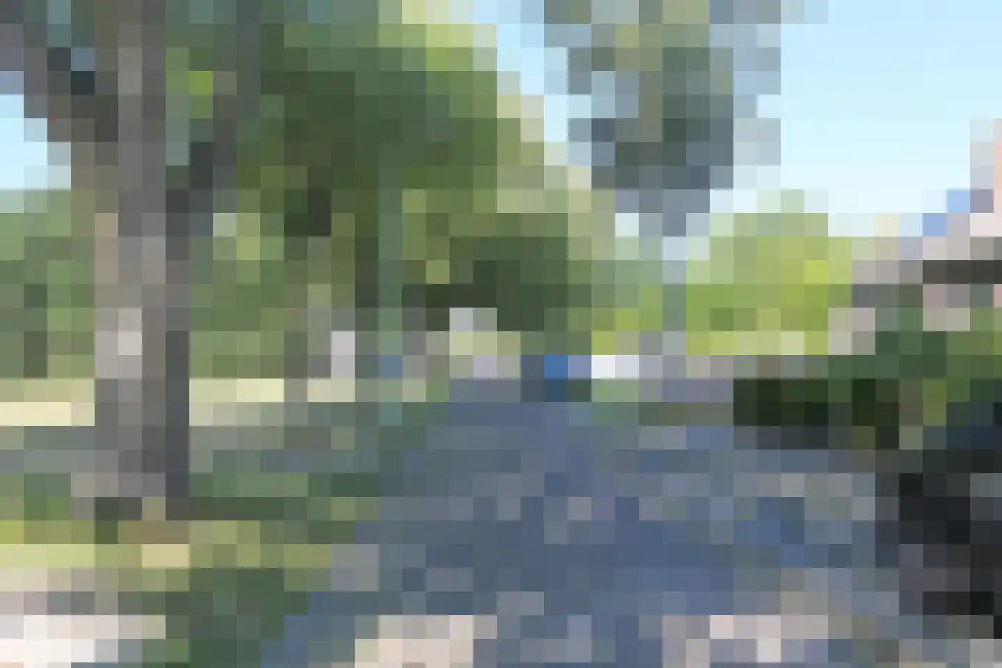 Pleinpaed 3 Twijzelerheide foto 2