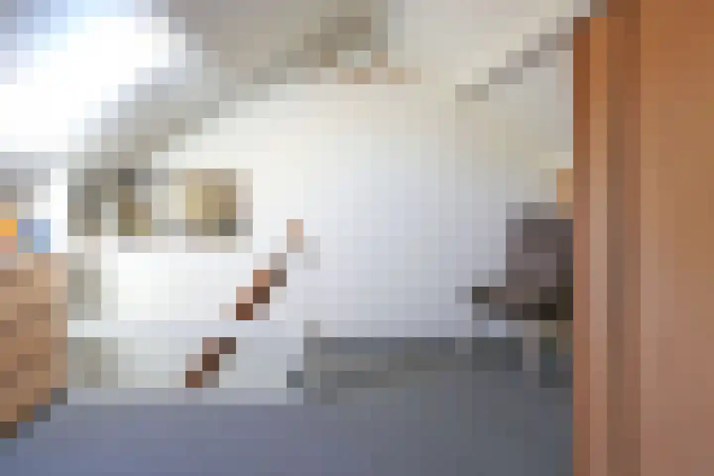 Pleinpaed 3 Twijzelerheide thumbnail 21