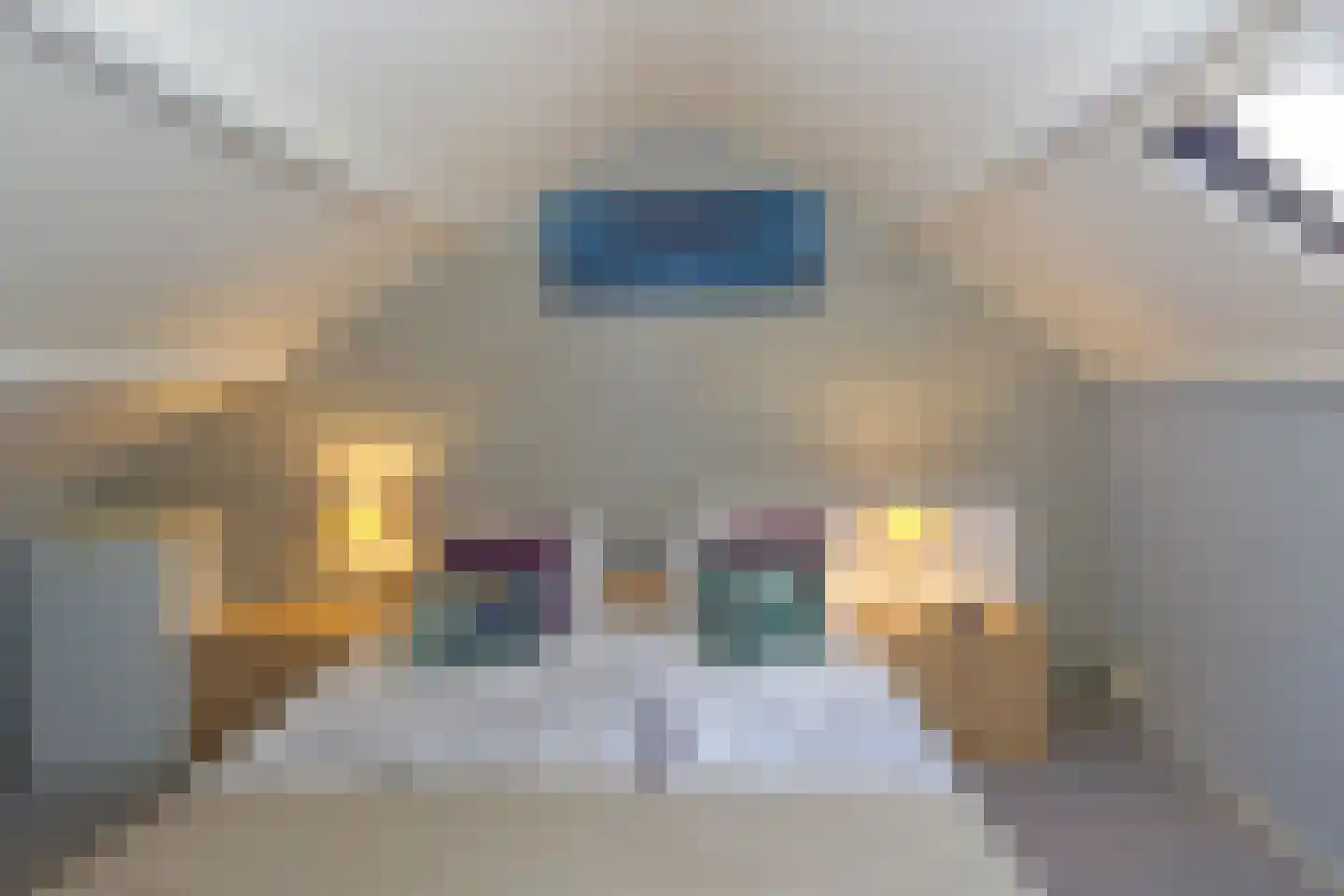 Pleinpaed 3 Twijzelerheide thumbnail 22