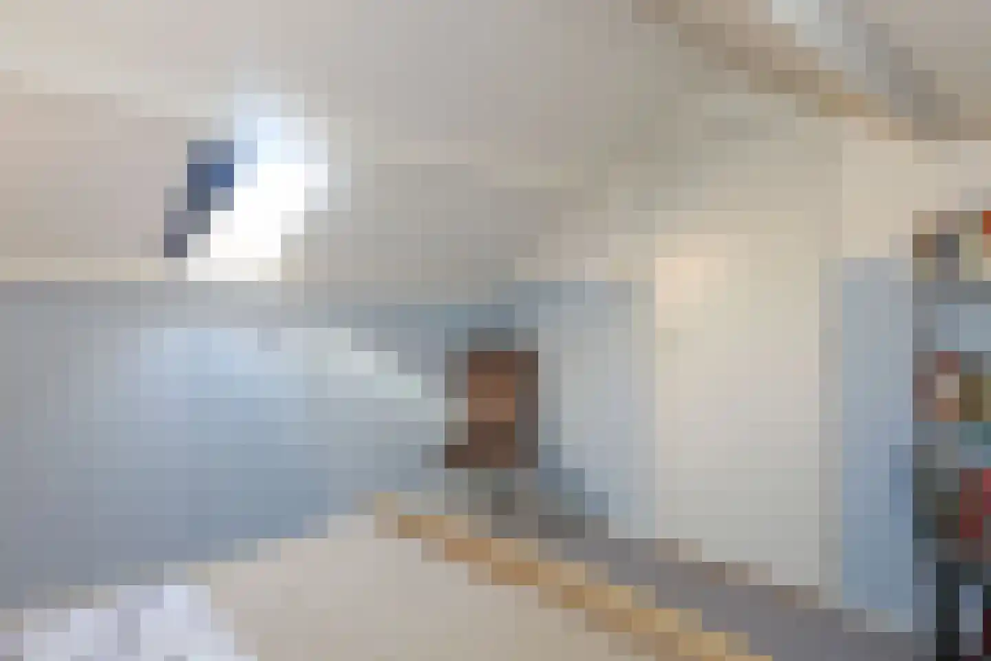 Pleinpaed 3 Twijzelerheide thumbnail 23