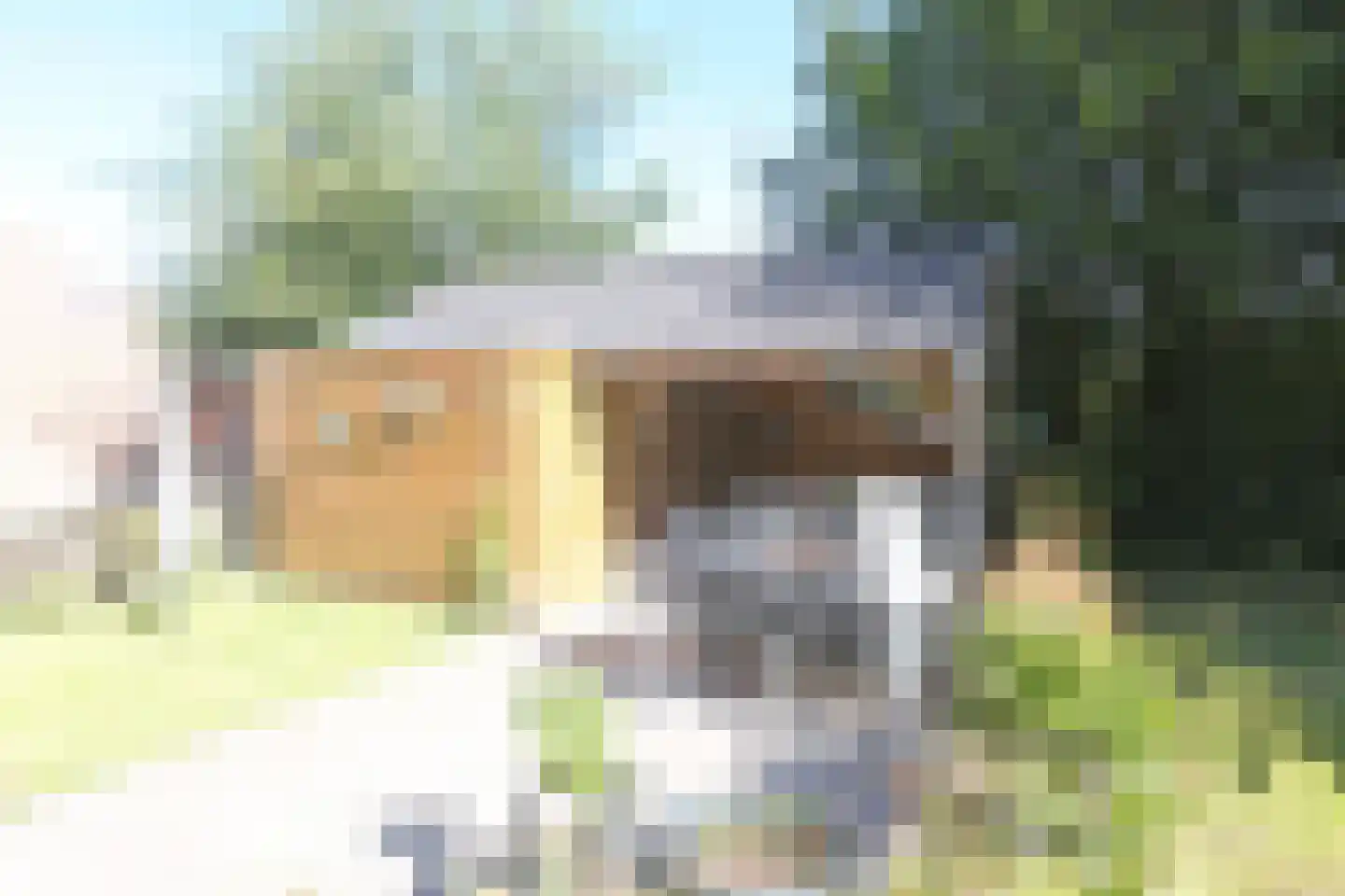 Pleinpaed 3 Twijzelerheide thumbnail 24