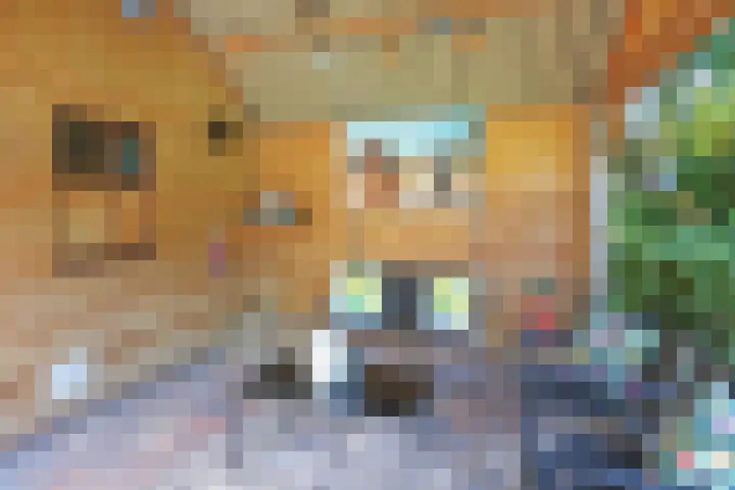 Pleinpaed 3 Twijzelerheide thumbnail 25