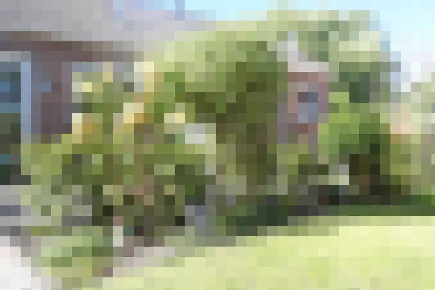 Pleinpaed 3 Twijzelerheide thumbnail 28