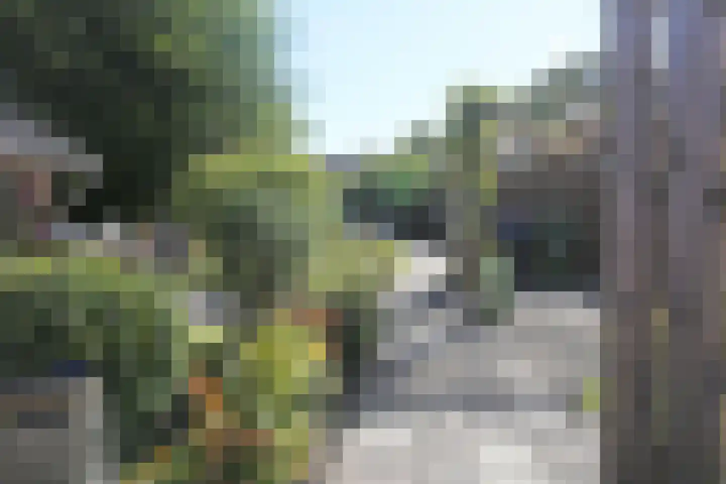 Pleinpaed 3 Twijzelerheide foto 3