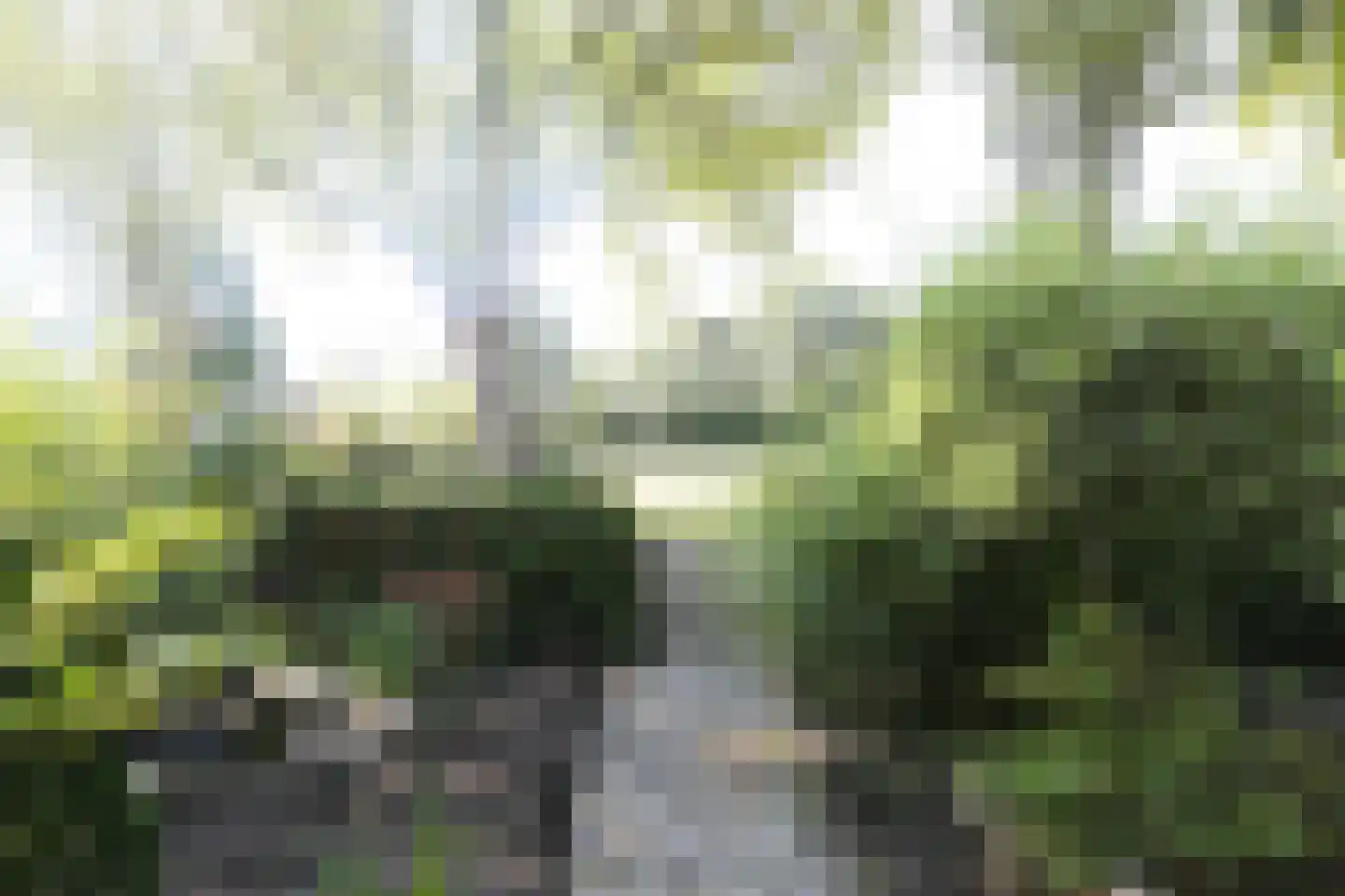 Pleinpaed 3 Twijzelerheide thumbnail 35