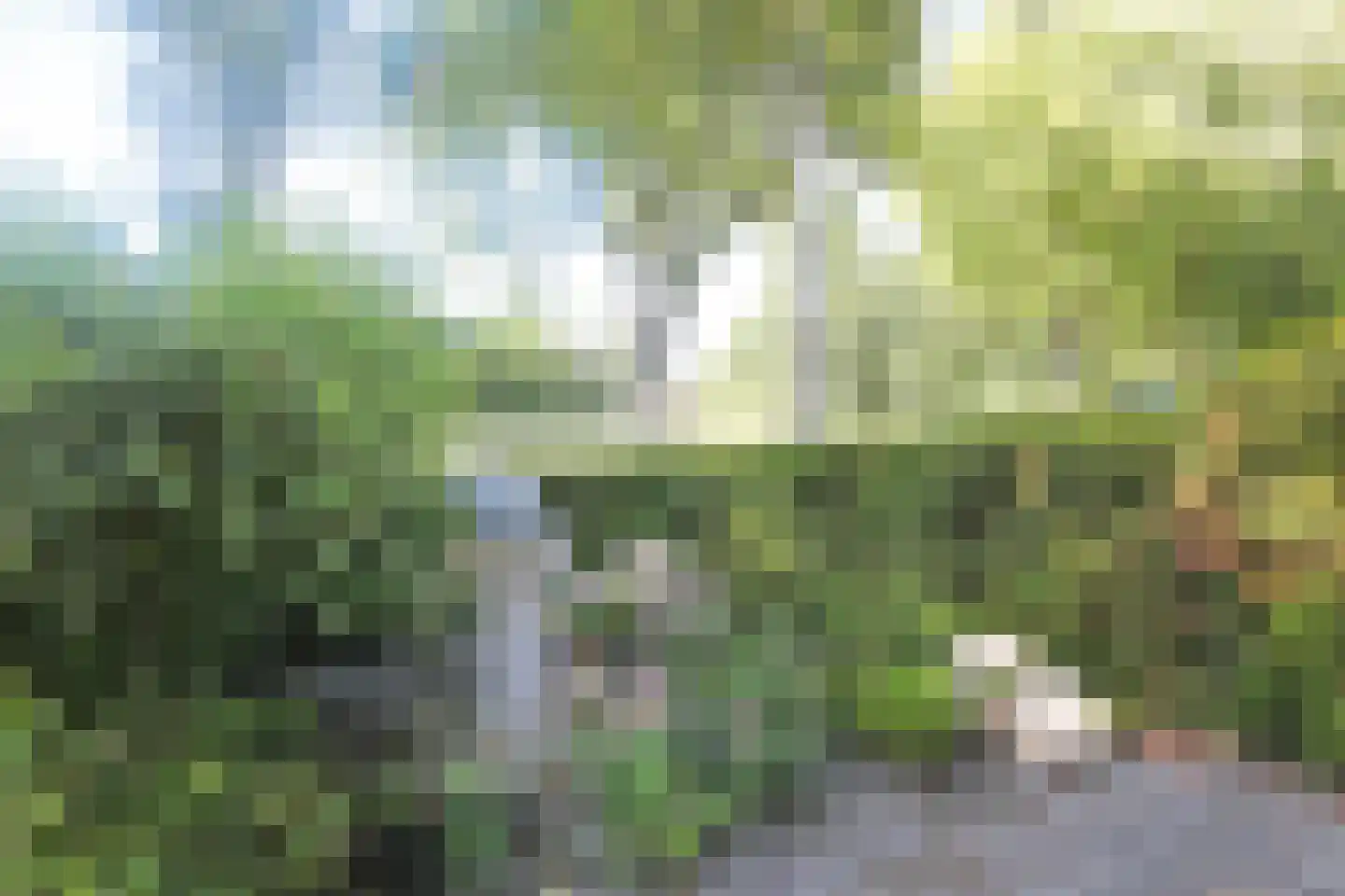 Pleinpaed 3 Twijzelerheide thumbnail 36