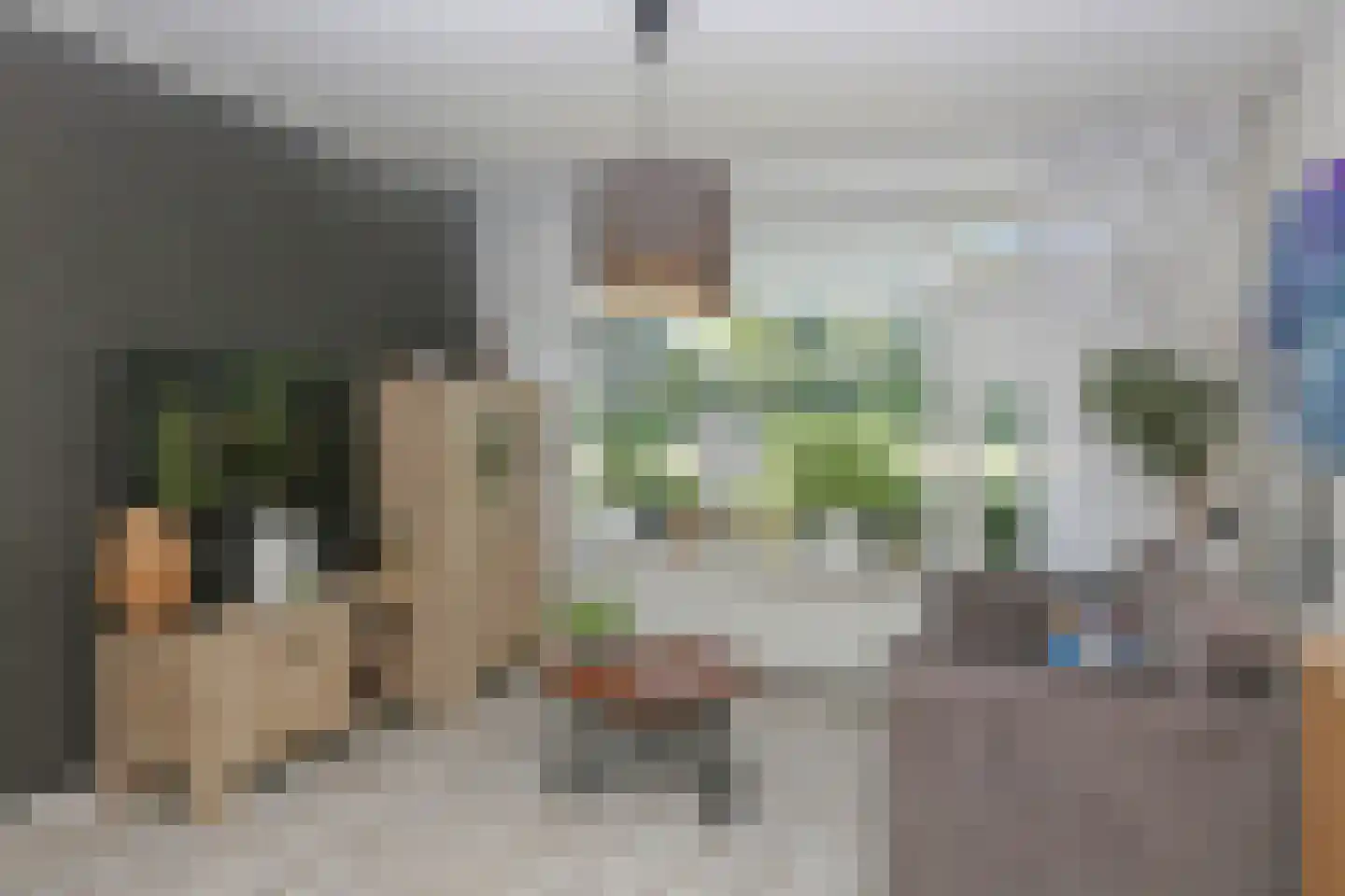 Pleinpaed 3 Twijzelerheide thumbnail 7