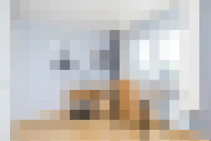 Pleinstraat 18 Klimmen thumbnail 14