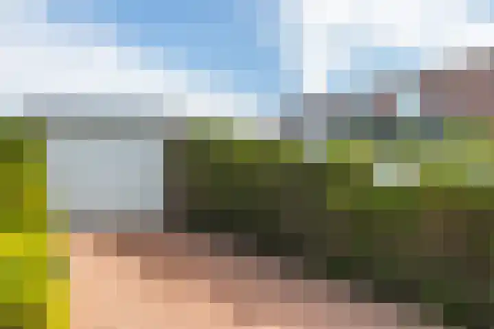 Pleinstraat 18 Klimmen thumbnail 19