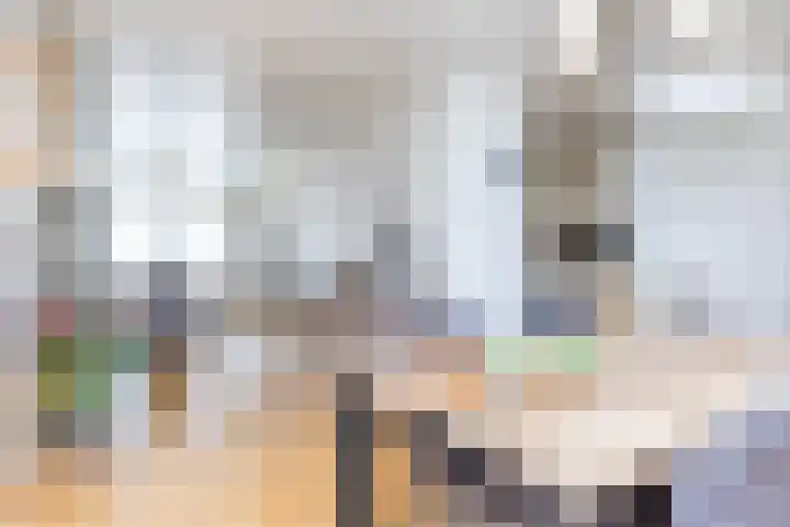 Pleinstraat 18 Klimmen thumbnail 7