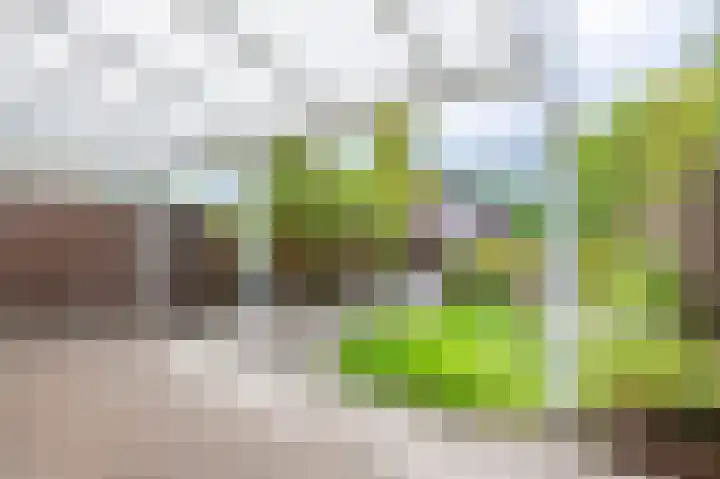 Pleinstraat 25 Kerkrade thumbnail 15