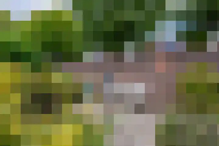 Pleinstraat 25 Kerkrade thumbnail 17