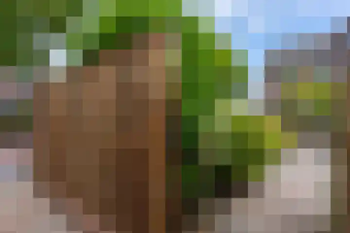 Pleinstraat 25 Kerkrade thumbnail 19