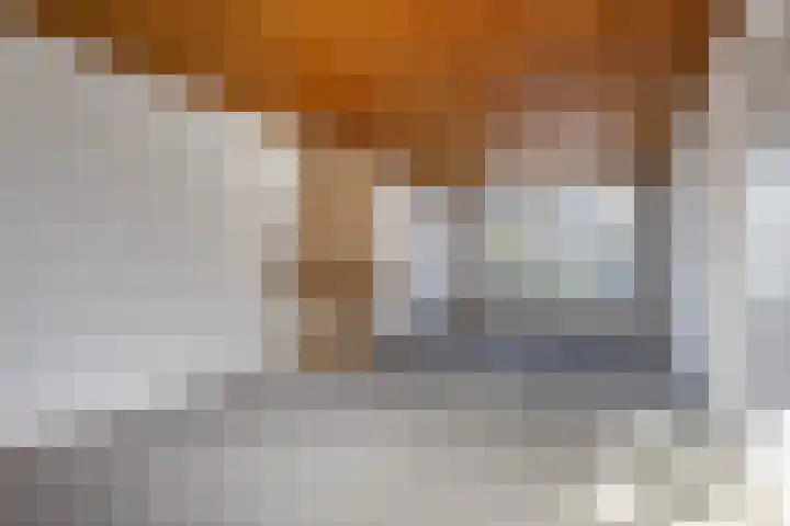 Pleinstraat 27 Bergambacht thumbnail 11