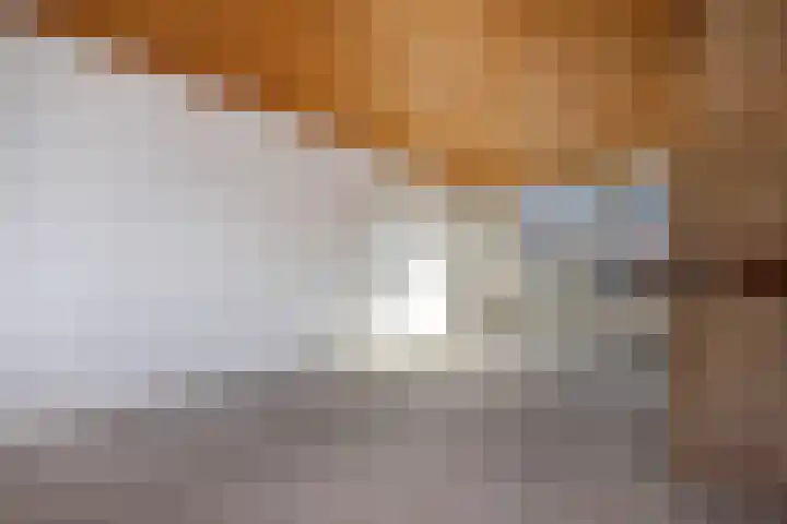 Pleinstraat 27 Bergambacht thumbnail 12
