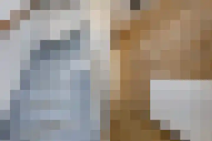 Pleinstraat 27 Bergambacht thumbnail 16