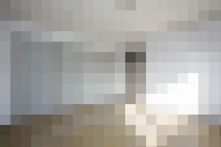Pleinstraat 27 Bergambacht thumbnail 21