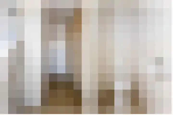 Pleinstraat 27 Bergambacht thumbnail 9