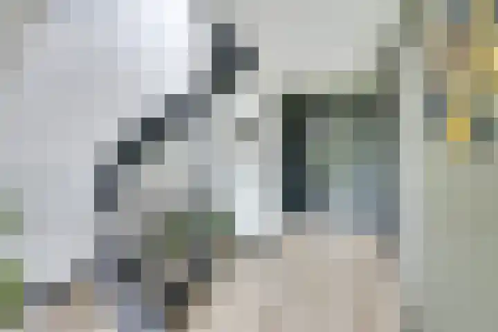 Pleinstraat 3 Hei- en Boeicop thumbnail 10