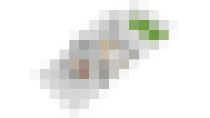 Pleinstraat 3 Hei- en Boeicop thumbnail 100