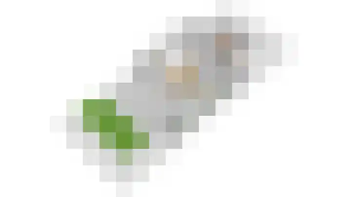 Pleinstraat 3 Hei- en Boeicop thumbnail 101